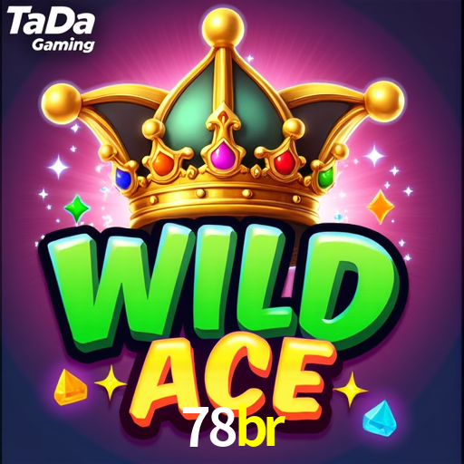 78br App Interface